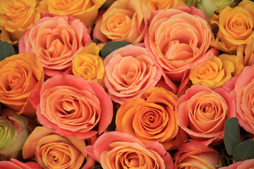 Yellow and orange roses