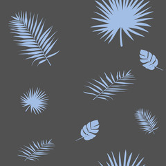 Vector illustration of a silhouette of a blue palm leafs