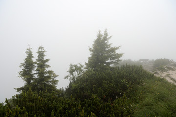 Fototapeta na wymiar Mountain landscape in the Alps in the fog