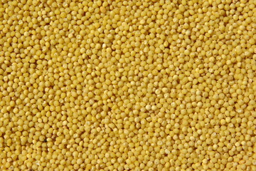 Yellow millet background