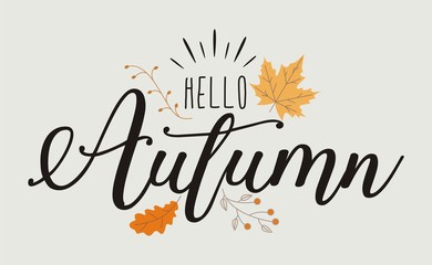 Hand drawn of Hello Autumn
