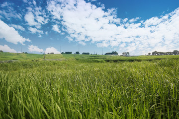 An image of nature consisting of cloudy sky and fields