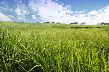 An image of nature consisting of cloudy sky and fields