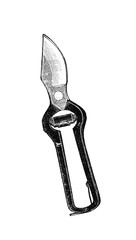 Baumscheren.aus: Theodor Lange: Allgemeines Illustriertes Gartenbuch, Bd. 2, Leipzig 1902, S. 286, Abb. 230.