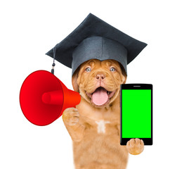 Graduated dog holds megaphone and smartphone above white banner. isolated on white background