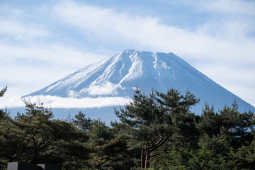 Fuji in the early morning with bus parking foreground in green season
