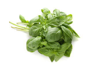 Bunch of fresh basil on white background