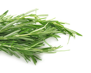 Bunch of fresh rosemary on white background, closeup