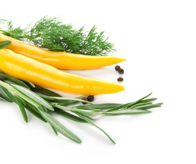 Fresh herbs and spices on white background