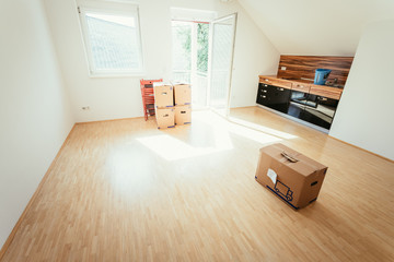 Neue, helle Wohnung mit Umzugskartons, viel Sonnenlicht und Holzboden