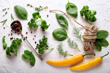 Composition with different fresh herbs, chili peppers and spices on light background