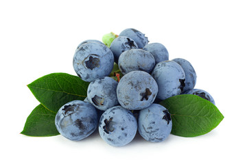 Blueberry  closeup on white
