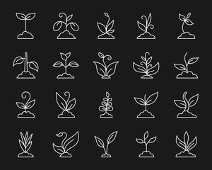 Fototapeta premium Grass simple white line icons vector set