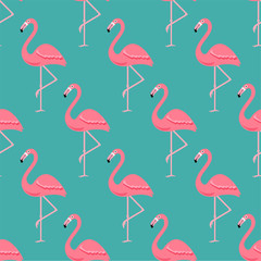 Flamingo Bird Background - Retro seamless pattern in vector