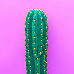 Cactus. Minimal Fashion. Creative Design. Art