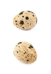 Fototapeta na wymiar Quail egg composition isolated
