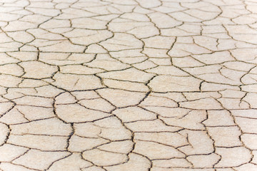 The earth is cracked, and the harvest is withered.