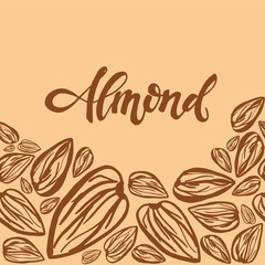 Sketch almonds pattern on light background