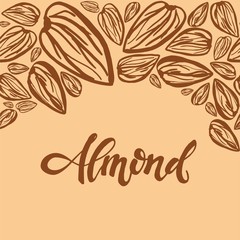 Sketch almonds pattern on light background