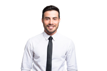 Smiling businessman portrait