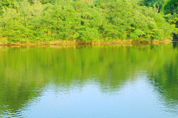 千葉　亀山湖　夏
