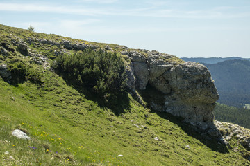 View of the small Sphinx, in Carpathian Mountains,  Bucegi Natural Park, Romania