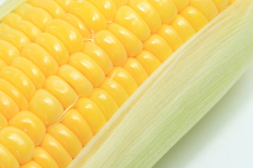 とうもろこし　コーン　野菜