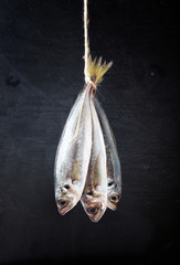 three mackerel are hanging in front of dark background