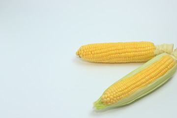 とうもろこし　コーン　野菜