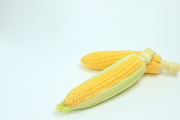 とうもろこし　コーン　野菜