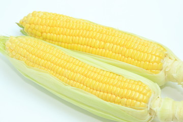 とうもろこし　コーン　野菜