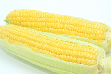 とうもろこし　コーン　野菜