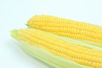 とうもろこし　コーン　野菜