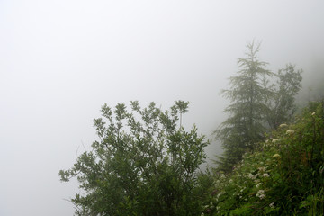 Obraz na płótnie Canvas Mountain landscape in the Alps in the fog