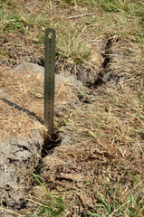 The ground in a football field cracked because of dryness and no rain in 3 months., also withered grass can be seen. The depth of this crack is around 35 cm; ca one foot.