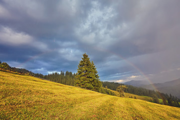 Rainbow and sunshine after rain