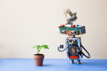 Organic versus artificial inorganic concept. Robot examines a living plant in a clay flower pot....