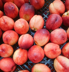 fresh nectarines on croatian market