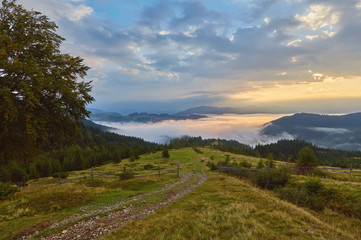 composite landscape. fence near the cross road on hillside meadow in mountains.