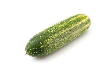 Große Schmorgurke