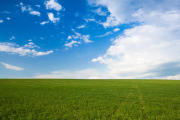 On the empty meadow at sunset,Czech Republic