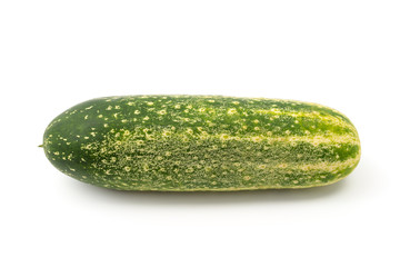 Große Schmorgurke