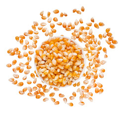 Dry corn seeds in bowl on white background