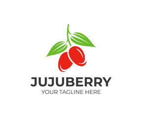 Jujube fruit logo template. Unabi berry vector design. Fresh jujube and leaves logotype