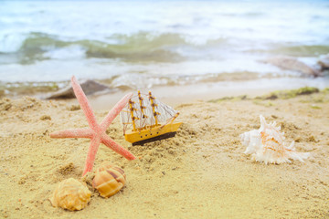 Fototapeta na wymiar Beach and Summer background - Close up of starfish and seashells on white sand background with white coarse sand