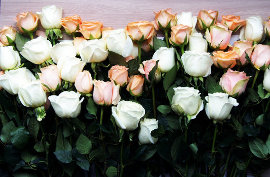 Flat lay stylish mock up photo with roses flowers on the white background. Feminine photo for blog and website. Mock up background for a product presentation. © yashroom