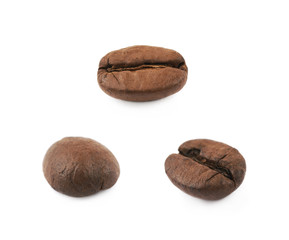 Single coffee bean isolated