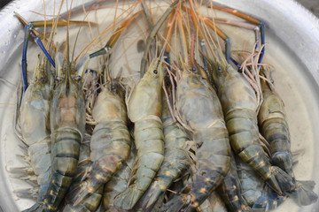 Garküche, Yangon, Myanmar, Asien