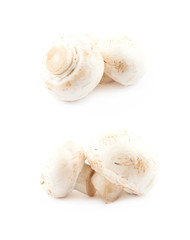 Raw champignon composition