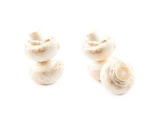 Raw champignon composition